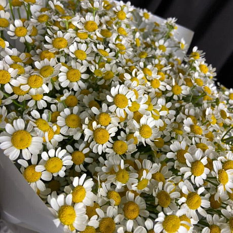 Букет Танацетума №161 - Фото 4