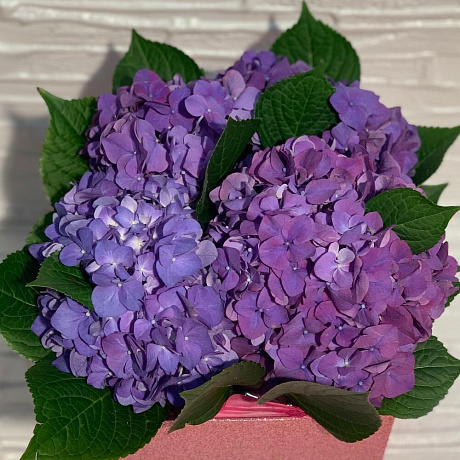 Шкатулка с гортензией и клубникой в бельгийском шоколаде - Фото 5