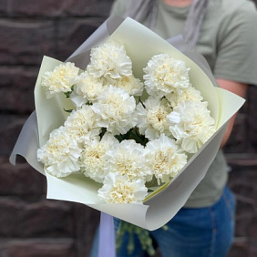 Белые гвоздики №161