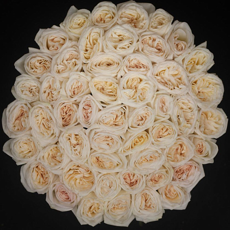 Ароматные эквадорские розы White O Hara в шляпной коробке Maxi - Фото 2