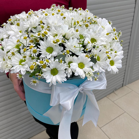 Микс из ромашковых хризантем  - Фото 2