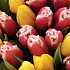 Букет цветов Mix of tulips 51 - Фото 6