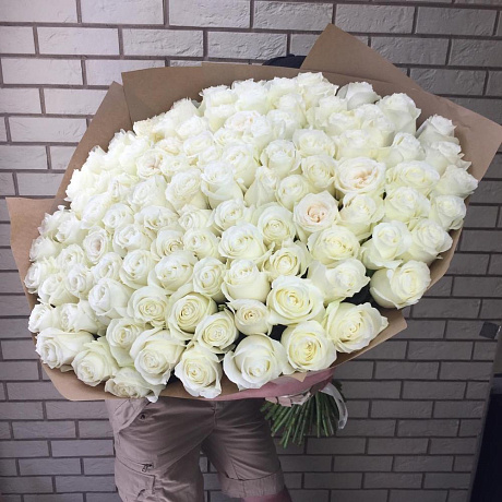 101 крупная белая роза - Фото 3