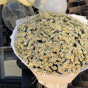 Букет ромашек "Летняя встреча"