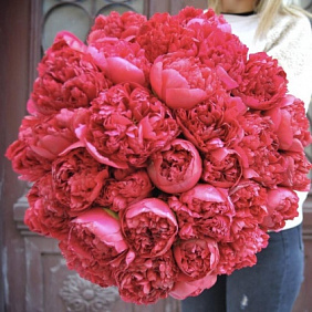 Букет пионов №160