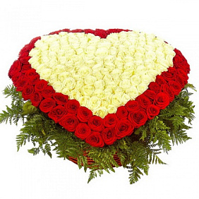 501 белая и красная роза сердцем в большой корзине