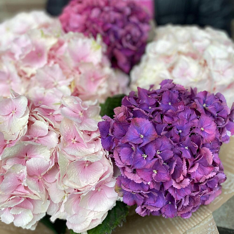 Букет цветов Нежные облака - Фото 5