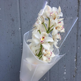 Букет из цимбидиума