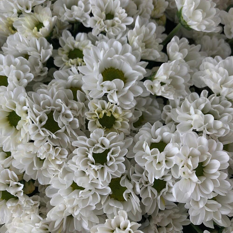 Букет цветов Росси Вайт - Фото 4