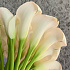 Букет невесты Luxury Flowers Белая Калла - Фото 4