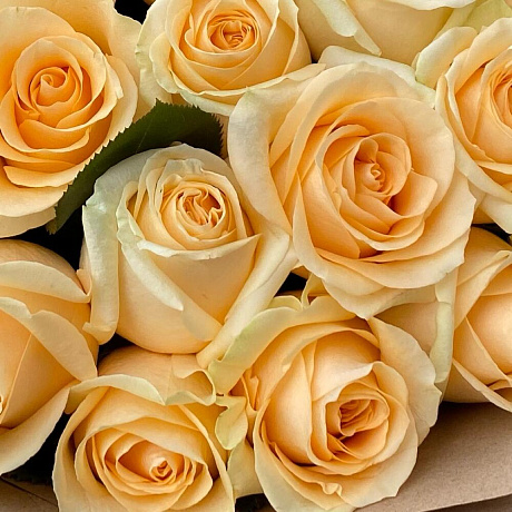 31 роза №160 - Фото 6