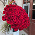 Метровые розы 101 - Фото 3