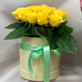 Коробка роз «Илиус»