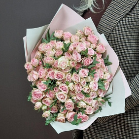 Роза Бэйби Фолис