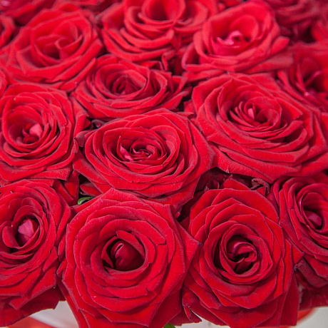 Коробка из 51 красной розы №160 - Фото 5