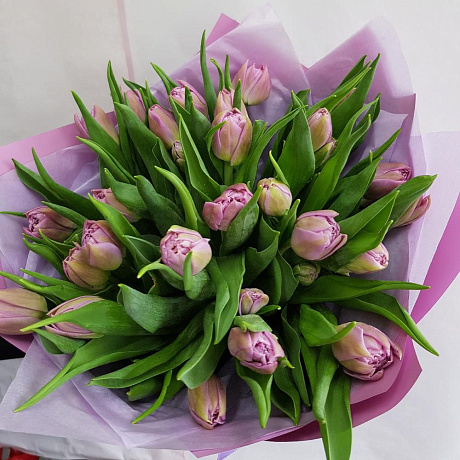 Сиреневый тюльпан - Фото 3
