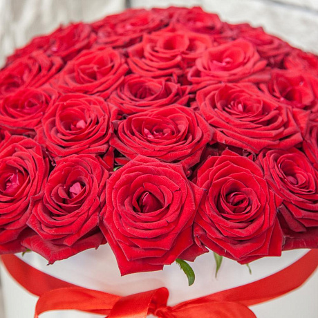 Коробка из 51 красной розы №160 - Фото 4