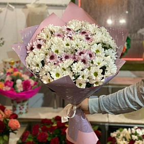 Хризантема куставая микс 15штук