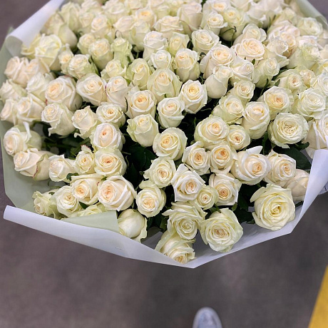 151 белая роза №162 - Фото 2
