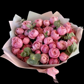 Роза пион №163