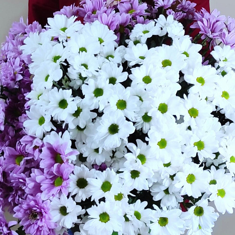 Букет Облако хризантем №161 - Фото 3