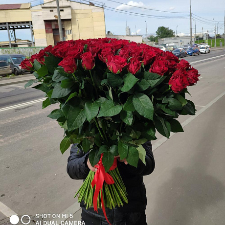 201 роза красная Премиум - Фото 2