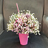 Букет цветов Коктейль - Фото 1