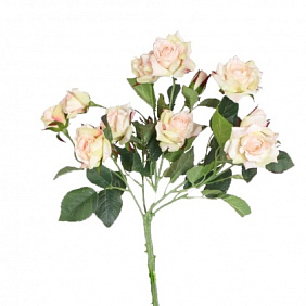 Кустовая роза поштучно 50 см
