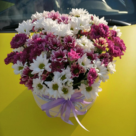 Цилиндр с цветами большой  Полянка - Фото 7
