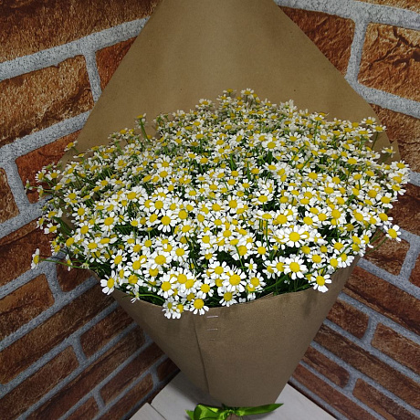 Нежное признание- букет из кустовых ромашек - Фото 2