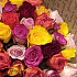 Микс 51 Роза кения №2 - Фото 2