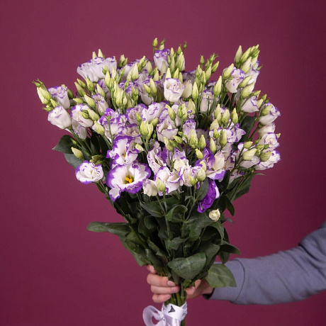 Букет из 19 двухцветных эустом - Фото 2