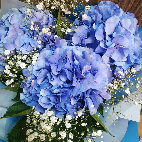Букет с гортензиями №209 - Фото 4