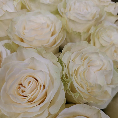 Букет из 25 роз Эквадор 50см в крафтовой бумаге - Фото 5