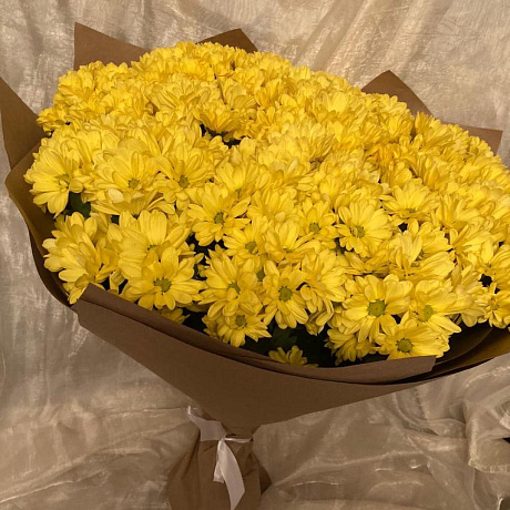 31 желтая хризантема - Фото 5