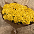 31 желтая хризантема - Фото 5
