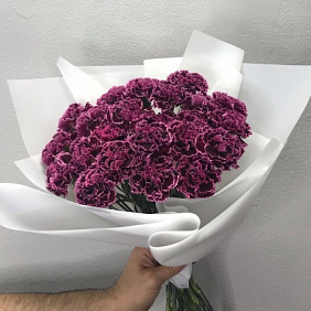 Букет из диантуса №160