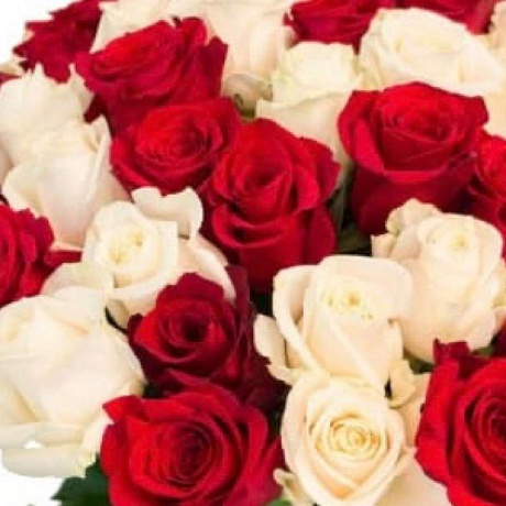 Букет из 55 роз №160 - Фото 3