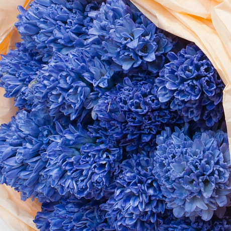 Букет цветов Гиацинты №160 - Фото 3
