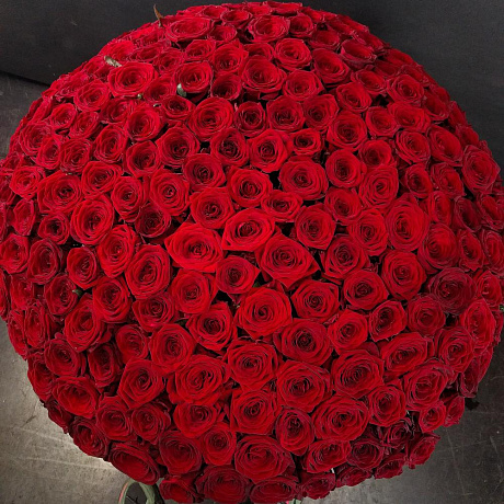 Букет цветов Edna 201 - Фото 6