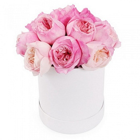 Букет из 15 пионовидных роз в малой шляпной коробке