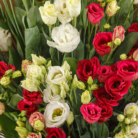 Букет из эустомы Мираж (медиум) - Фото 3