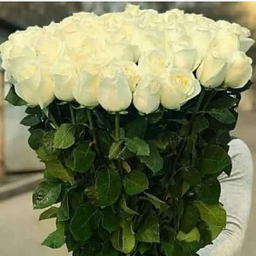 Роза Эквадор 90 см