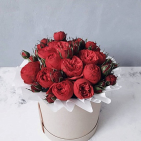 11 красных пионовидных роз Премиум в белой шляпной коробке