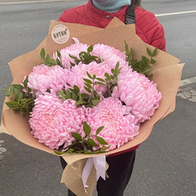 Крымская хризантема №164