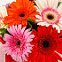 Цветы в коробке 9 гербер Раскраска №160 - Фото 3