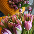 Тюльпаны пионовидные 25шт - Фото 1