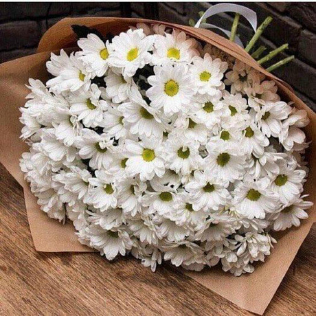 XXL Букет из хризантем - Фото 5