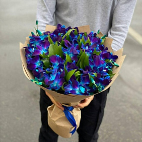 Синие Орхидеи