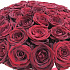 Коробка XXL из 101 красной розы. N83 - Фото 5